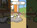 ねこの階段 #shorts
