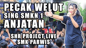 SHR PROJECT - PECAK WELUT | SKA VERSION | LIVE SMKN 1 ANJATAN