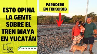 🚆🚆 TREN MAYA, avances de la obra en Yucatán 🚉🚉 ¿Qué  opina la gente?