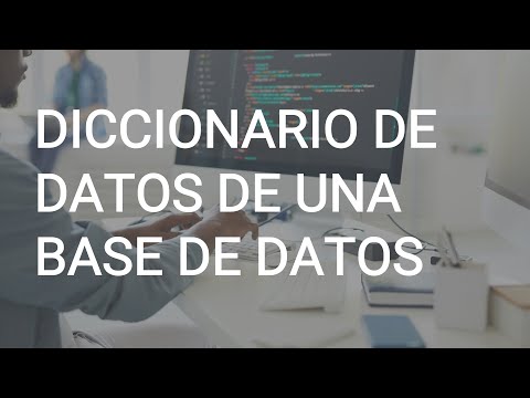 Video: ¿Qué es un diccionario de datos en la investigación?