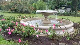 The Situhapa Rose Garden|Kamojang|Garut|Indonesia