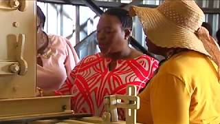 Asisukume-Msinga Maize Co-Op Maize Project