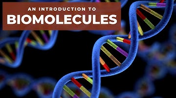 An Introduction to Biomolecules