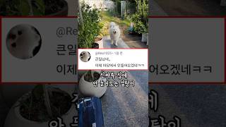 하.. 집에 안 들어오는 설탕이