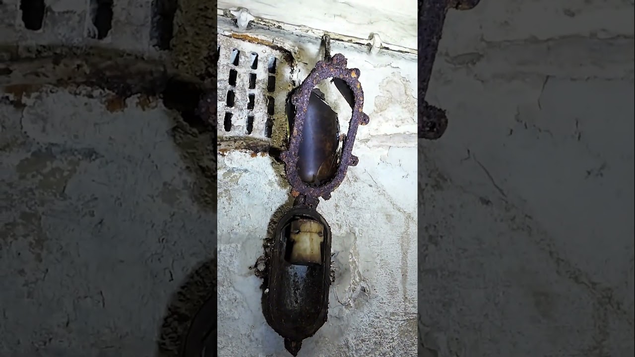 Historische Funde & Überraschungen 