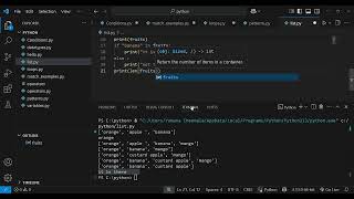 List operations in python