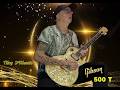 Gibson 500 T
