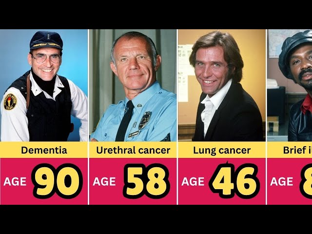 Hill Street Blues (1981): 14 Beloved Actors Who Tragically Passed Away (1983–2024) - YouTube