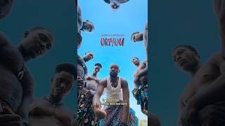 Orfareshi Shi Tesem Ase U Ngu Perfect Ga 