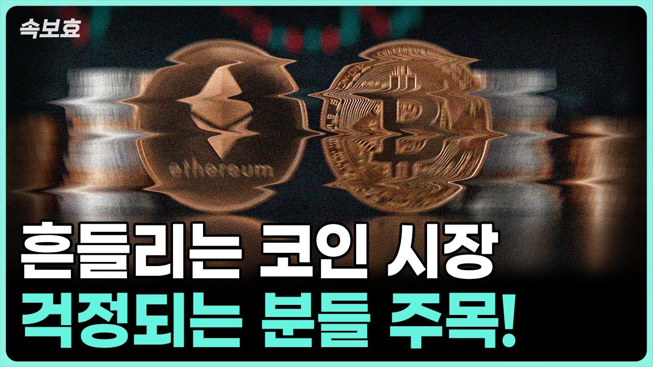 [속보효] 흔들리는 코인시장 걱정되는 분들 주목!