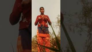 Download Lagu new nagpuri sadri song #new shorts video MP3