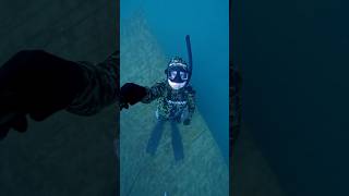 FREEDIVING IN THE LAKE 🪼🔱 #onebreath #gopro #wetsuit #salvimar #lake #cool #freediving #underwater