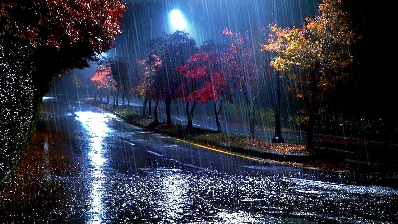 Rain & Thunderstorm Sound, Nature & Rain Sounds to Relax, Meditate ...