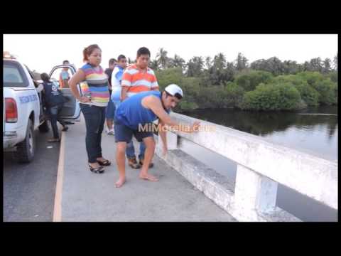 Video: Un Cocodrilo Americano Y Un Manatí Se Han Hecho Amigos En Florida