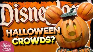 How Crowded is Disneyland at Halloween 2023? | Wait Times & More