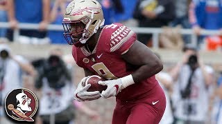 FSU RB Jacques Patrick Top Plays 2018