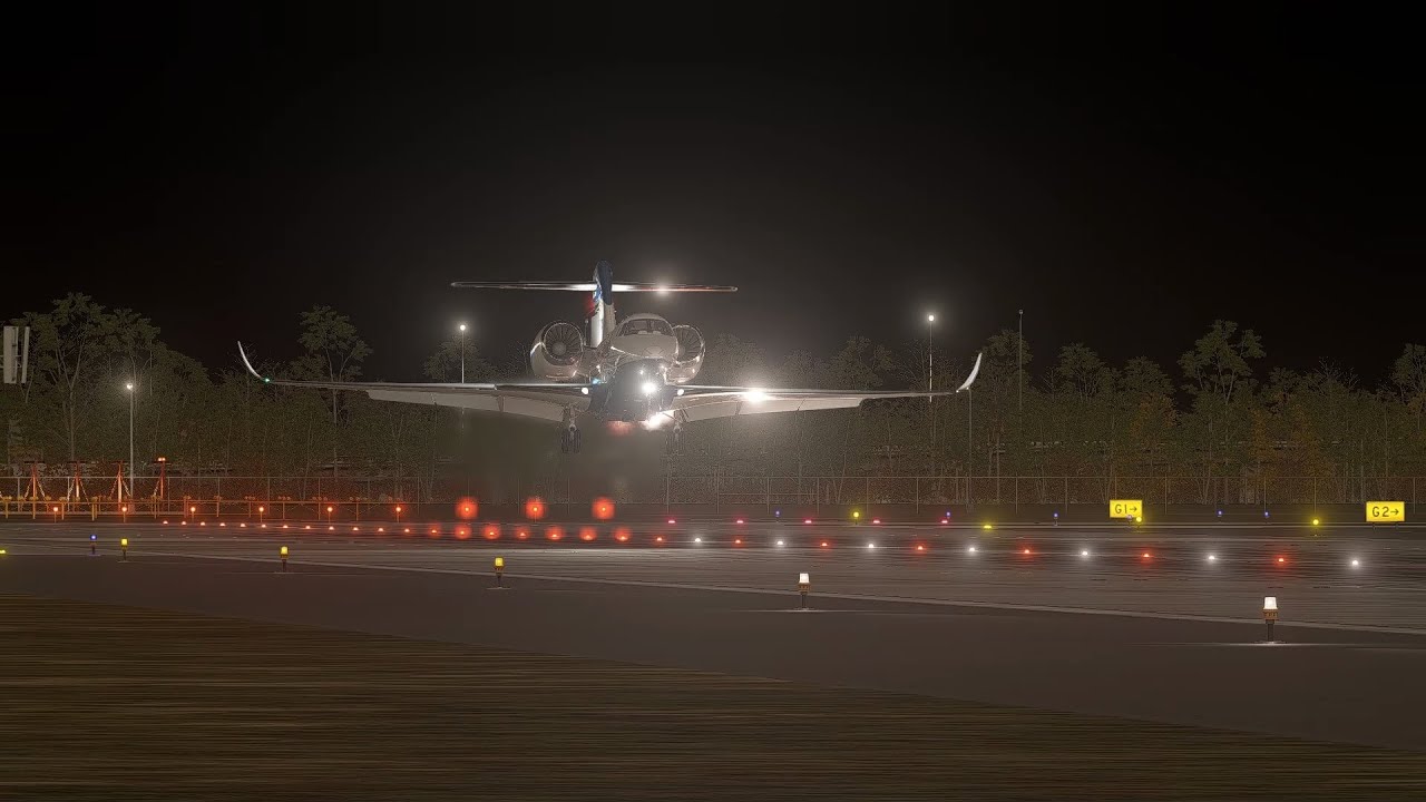 X-Plane 12 / LANDING compilation 8 