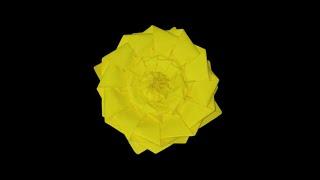 Origami Flower Tower - Time Lapse Chris K Palmer