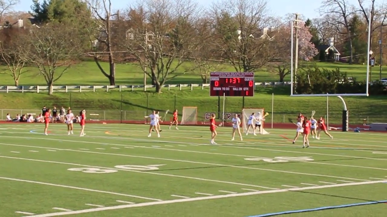 0415   MoBeard Ava 1