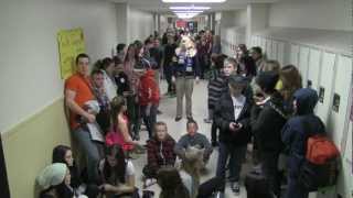 GSS Harlem Shake
