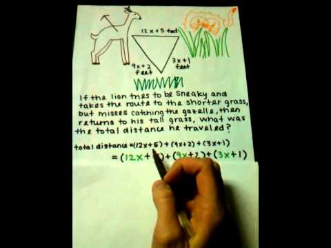 Adding Polynomials Horizontally (rotated)