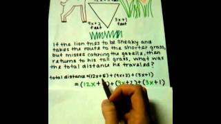 Adding Polynomials Horizontally (rotated)
