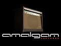 Aerosmith  sweet emotion cover  tonex captures by amalgam audio based on magnatone 213 troubadour