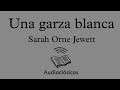 Una garza blanca – Sarah Orne Jewett (Audiolibro)