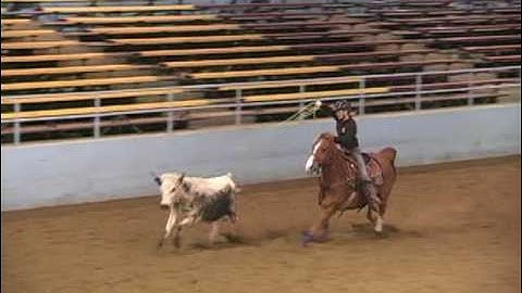 WAHSET District 4 Cattle Collage 2010