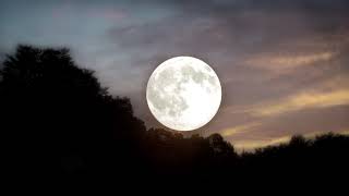 4K UHD FREE NO COPYRIGHT SCREENSAVER LIVE WALLPAPER FULL MOON EVENING SKY