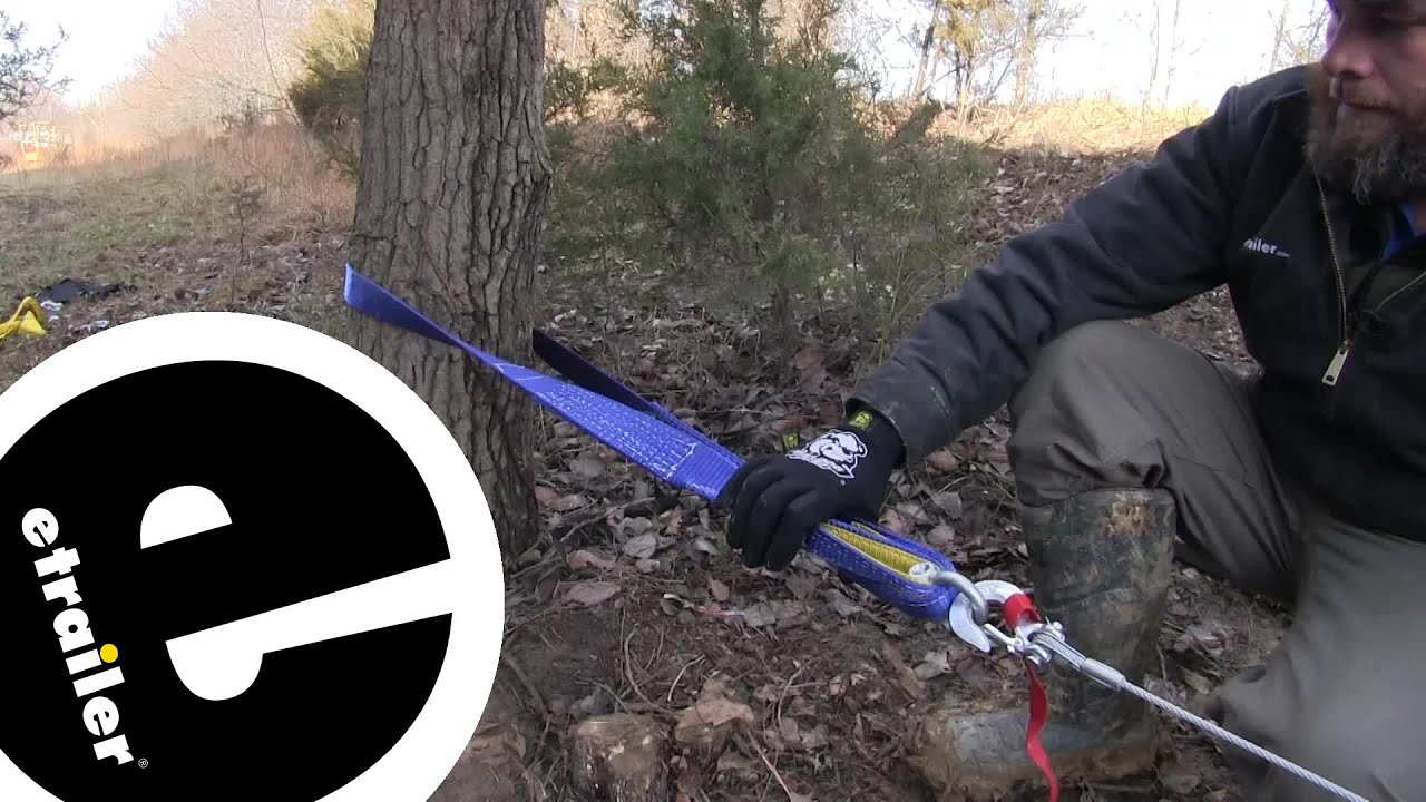 etrailer | All About the Bulldog Winch Tree Saver Strap