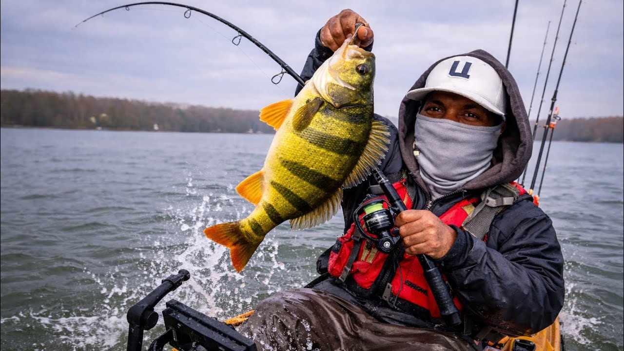 Catching my PB Yellow Perch on a Crappie Day
