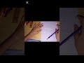 which is best#COULERS #drawing #1ksubscribers #foryou #