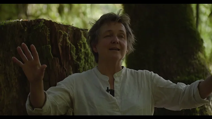 Rachel Holt: Remaining Old Growth