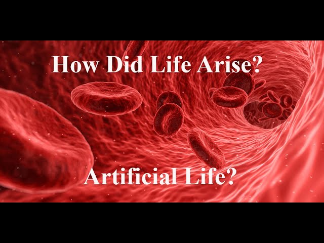 The Mystery of the Artificial Protocell