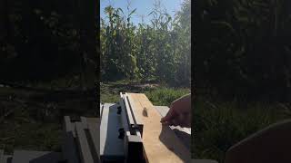 Bosch Professional Gts 254 Tezgah Tipi Testere