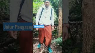 Download Lagu Naik Gunung Pangrango Pake Celana Pendek VS Sarungan #shorts #shortvideo #pangrango #usmancharapet MP3