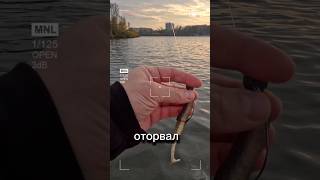Яхта в аренду😂 плывем за щукой))) Скоро на канале 🎣 #fishing #рыбалка #щука #щукаосенью