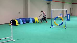 Layla Beginning Agility Week 3 May 5, 2025