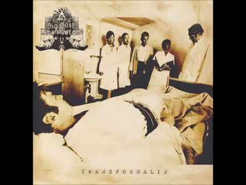 Diagnose Lebensgefahr - Transformalin Full Album