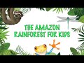 Facts about the amazon rainforest for kids