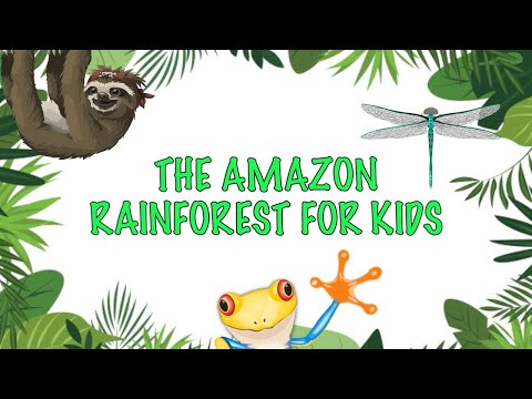Facts about the Amazon Rainforest For kids