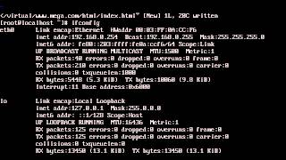 Details Linux#03 IP Based Virtual Hosting Update