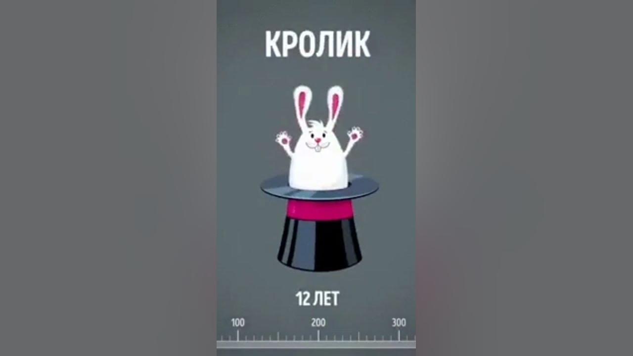 ту-тутутуту-туту - YouTube