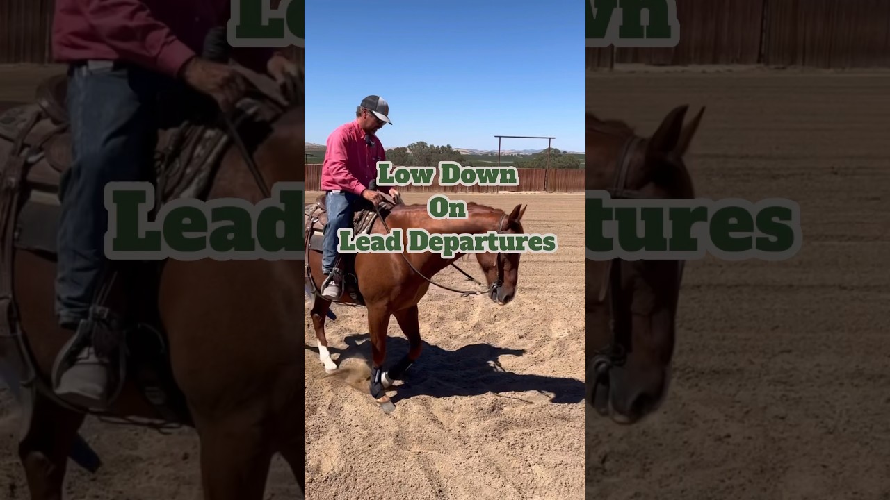 LEAD DEPARTURES frame bodycontrol riding tips fyp horsemanship 