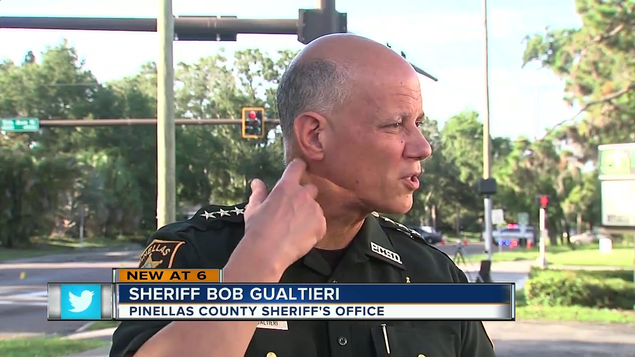 Man with suspended license runs from traffic stop in St. Pete, crashes ...