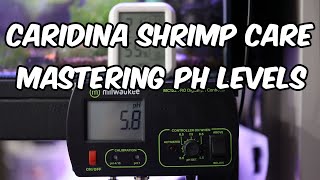 The Crucial Role of pH in Water Parameters for Caridina Shrimp 🦐