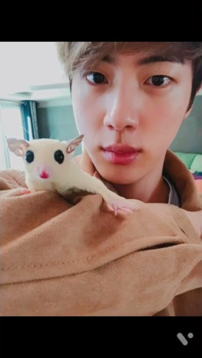 jin with his pet❄️💜