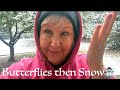 😮 WOW‼️TWO WITNESSES, TWO BUTTERFLIES, 🦋🦋THEN HUGE SNOWFLAKES ❄️☃️
