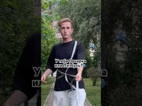У меня другой стиль🐩✨: АМУНИЦИЯ от бренда DOROGO для моей Пуделихи!